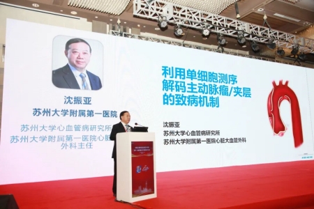 蘇州大學(xué)心血管病研究所所長、蘇州大學(xué)附屬第一醫(yī)院心臟大血管外科主任沈振亞教授作報告